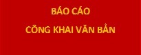 Báo cáo thực trạng quản trị và cơ cấu tổ chức Công ty năm 2024